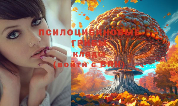 дмт Белоозёрский